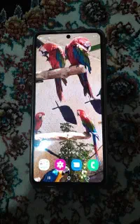سامسونگ A73G5