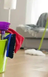 نظافت کار منزل