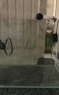 اکواریم شرکتی