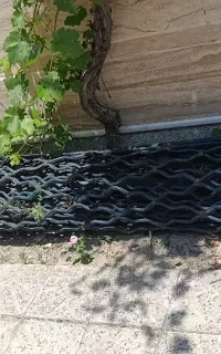 کرکره زنبوری