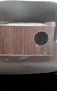 لونه پرنده