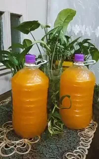 شامپو شبنم