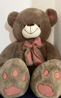خرس تدی نو خارجی