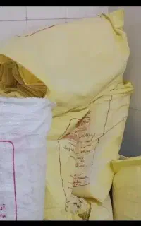 کیسه خالی اردی