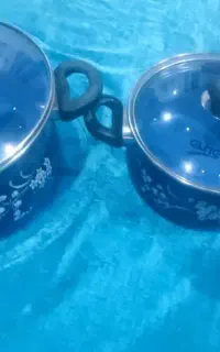 دیگ  سالم