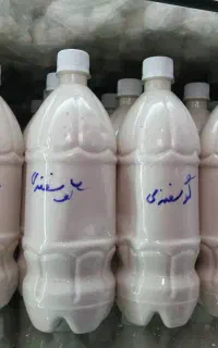 کشک ساییده. کشک تازه. زیتون هسته دار و بی هسته