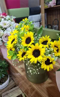 باکس افتاب و دسته گل رز
