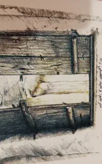 راز شاد زیستن
