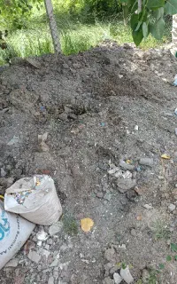 نوخاله ساختمان رایگان