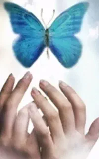 وکیل و مشاور حقوقی ،قضایی، تنظیم قراردادهای تخصصی