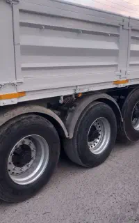 فروش انواع یاری دهنده مارال نقد و اقساط