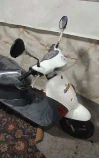 پاکشتی لتسفور