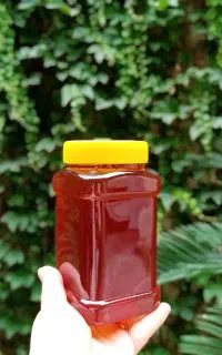 عسل طبیعی