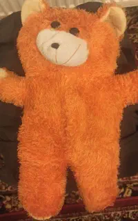 خرس نارنجی