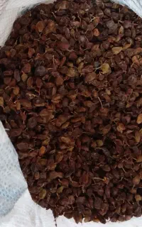 کشمش عسگری