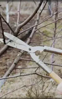 هرس کار