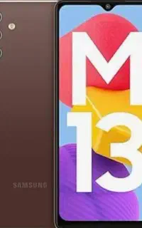 M13