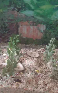آکواریوم 50در 60