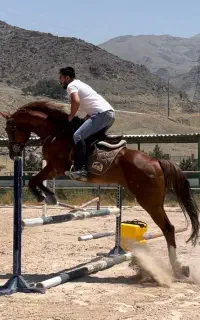 اموزش سوارکاری و پانسیون اسب