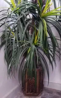 درخت مصنوعی با گلدان