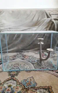 اکواریوم همه کاره