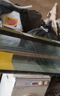 آکواریوم مرتب بزرگ خیلی شیک