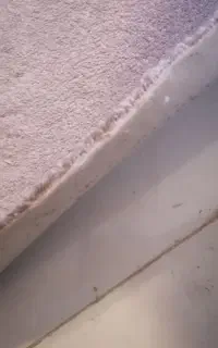 موکت