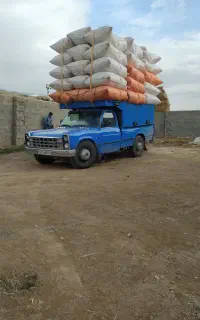 خریدار کاه گندم . کاه جو .کاه عدس .جو