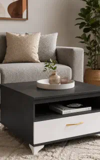 میز جلو مبلی و میز وسط/(ارسال‌رایگان)