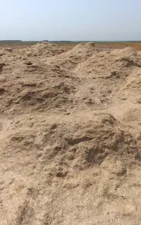 کاه
