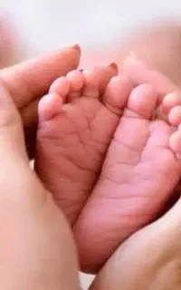 هم نشست مادرانه