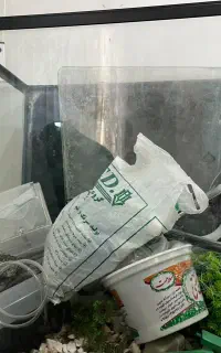 آکواریم