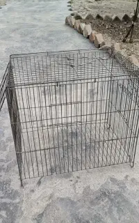 قفس مرغ عشق....