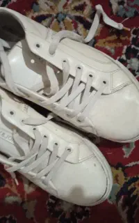 کفش نو تمیز خورموج