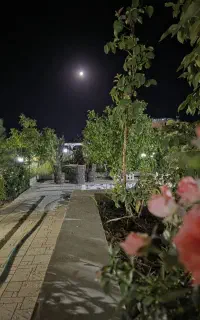 اجاره ویلا و باغ