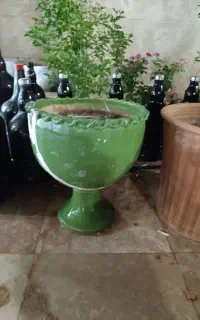 گلدان بزرگ همه باهم
