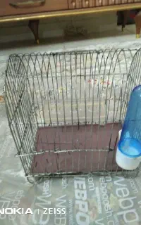 قفس پرنده