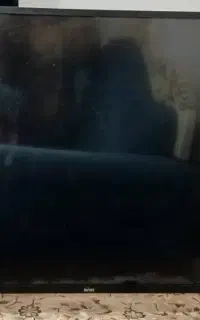 تلویزیون