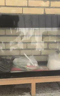 آکواریوم. با وسایل کامل