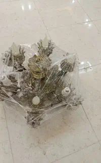 برنز لوستر