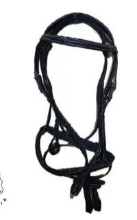 کلگی تعلیمی اسب