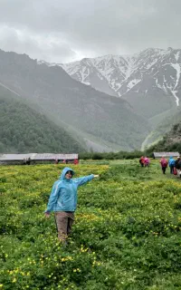 تور دشت زیبای دریا سر ، ۷ ظرفیت خالی مونده تخفیف