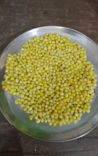 خاویارحلزون اچاتینا