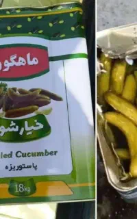 خیارشور ماهگون