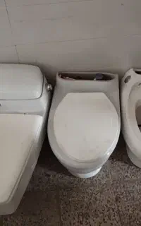 فرنگی رایگان