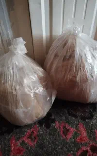 پودر دارچین وزنجبیل
