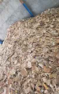 نان خشک تمیز