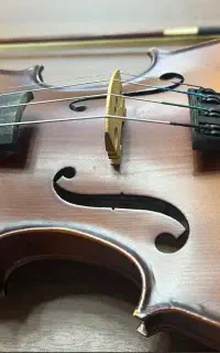 ویولن2/4 سندنر