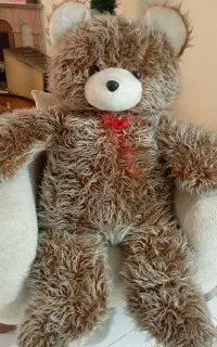 خرس 1/50 قهوه ای