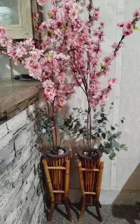 گل بهاری